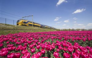 Holland Travel Ticket: OV-Dagkaart voor € 48 (geldig in trein, bus, tram en metro)