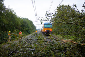 ProRail vindt bomen bij het spoor horen – jaarlijks tientallen gevallen bomen